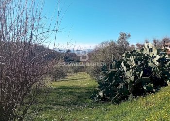 Foto 21 - Villa Via di Rocca Romana
 
329, Sutri - photo 21