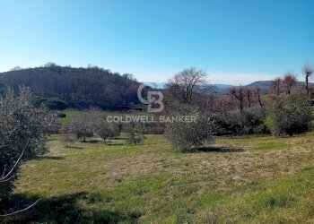 Foto 24 - Villa Via di Rocca Romana
 
329, Sutri - photo 24