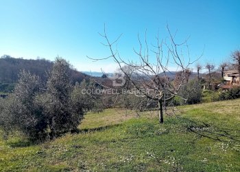 Foto 25 - Villa Via di Rocca Romana
 
329, Sutri - photo 25