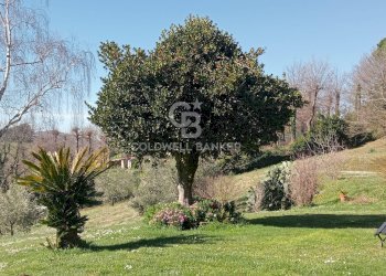 Foto 46 - Villa Via di Rocca Romana
 
329, Sutri - photo 46