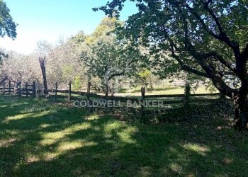 Foto 63 - Villa Via di Rocca Romana
 
329, Sutri - foto 63