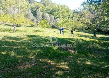 Foto 64 - Villa Via di Rocca Romana
 
329, Sutri - foto 64