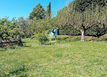 Foto 65 - Villa Via di Rocca Romana
 
329, Sutri - foto 65