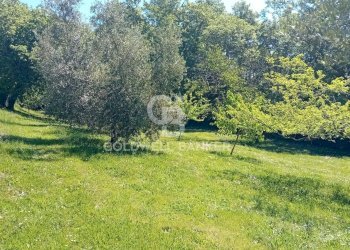 Foto 66 - Villa Via di Rocca Romana
 
329, Sutri - foto 66