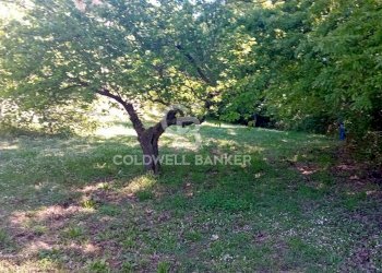 Foto 67 - Villa Via di Rocca Romana
 
329, Sutri - foto 67