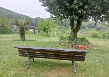 Foto 84 - Villa Via di Rocca Romana
 
329, Sutri - photo 84