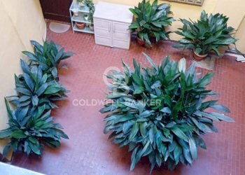 Foto 14 - Trilocale Via Solferino, Ronciglione - foto 14