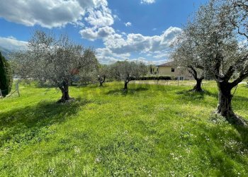 Giardino - Locale Commerciale Sora - foto 20