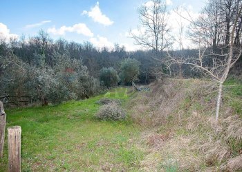 Non correlato - Agriturismo Contrada Cavatelle
 
snc, Pastena - photo 7