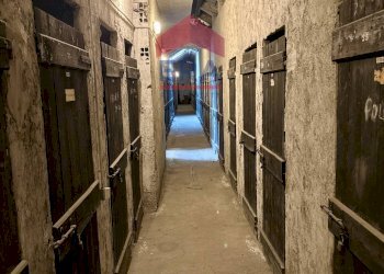 Foto 27 - Two-room apartment Largo Promessi Sposi
 
8, Milano - photo 27