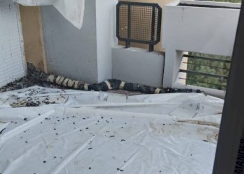 Foto 19 - Four-room apartment via Rossini
 
88, Terni - photo 19