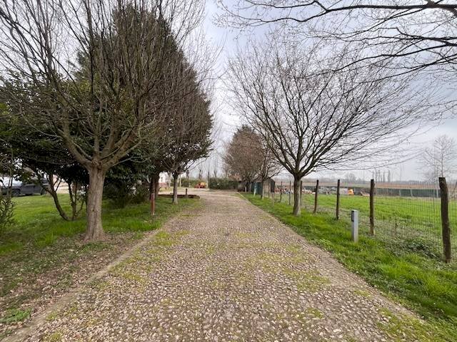 Foto 2 - Locale Commerciale Goito - foto 2