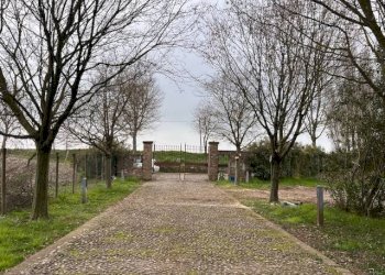 Foto 1 - Locale Commerciale Goito - foto 1