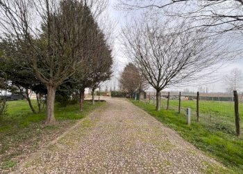 Foto 2 - Locale Commerciale Goito - foto 2