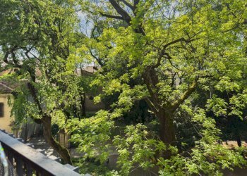 Foto 20 - Quadrilocale Mantova - foto 20