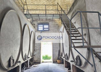 Foto 1 - Laboratorio via Sacri Cuori
 
2, Trepuzzi - foto 1