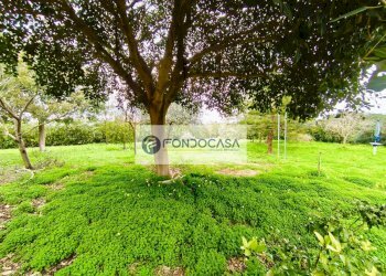 Foto 38 - Villa via Narciso di Mare
 
7, Lecce - foto 38