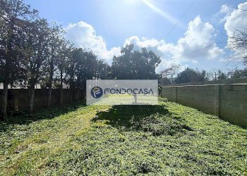 Foto 4 - Casa indipendente via Savoia, Minervino di Lecce - foto 4