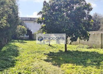 Foto 5 - Casa indipendente via Savoia, Minervino di Lecce - foto 5