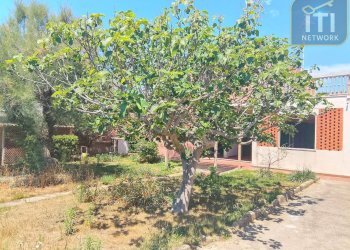Foto 25 - Villa VIALE SPAGNA, Pomezia - foto 25