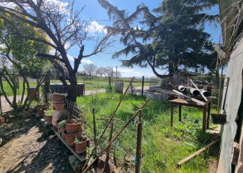 Foto 29 - Semi-detached house Deruta - photo 29