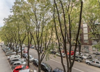 Foto 31 - Three-room apartment Via Giovanni Bellezza
 
11, Milano - photo 31