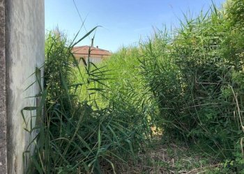 Foto 3 - Terreno edificabile via dei mille
 
4, Alba Adriatica - foto 3