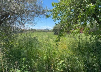 Foto 5 - Terreno edificabile via dei mille
 
4, Alba Adriatica - foto 5