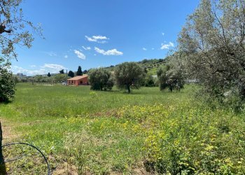 Foto 7 - Terreno edificabile via dei mille
 
4, Alba Adriatica - foto 7