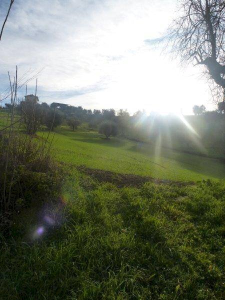 Foto 3 - Rustic via cavatassi
 
18, Tortoreto - photo 3