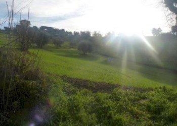 Foto 3 - Rustico via cavatassi
 
18, Tortoreto - foto 3