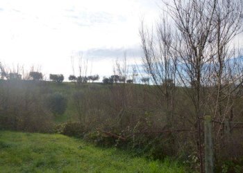 Foto 18 - Rustico via cavatassi
 
18, Tortoreto - foto 18