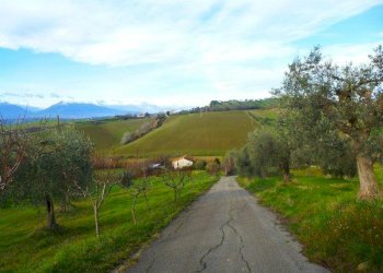 Foto 22 - Rustico via cavatassi
 
18, Tortoreto - foto 22