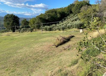 Foto 4 - Terreno edificabile VIA COSTA DEL MONTE, Tortoreto - foto 4