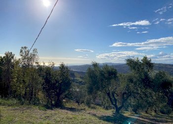 Foto 9 - Terreno edificabile VIA COSTA DEL MONTE, Tortoreto - foto 9