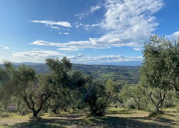 Foto 10 - Terreno edificabile VIA COSTA DEL MONTE, Tortoreto - foto 10