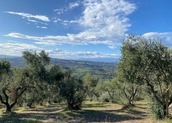 Foto 11 - Terreno edificabile VIA COSTA DEL MONTE, Tortoreto - foto 11