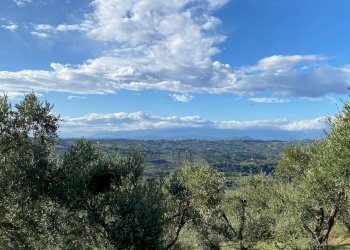 Foto 16 - Terreno edificabile VIA COSTA DEL MONTE, Tortoreto - foto 16