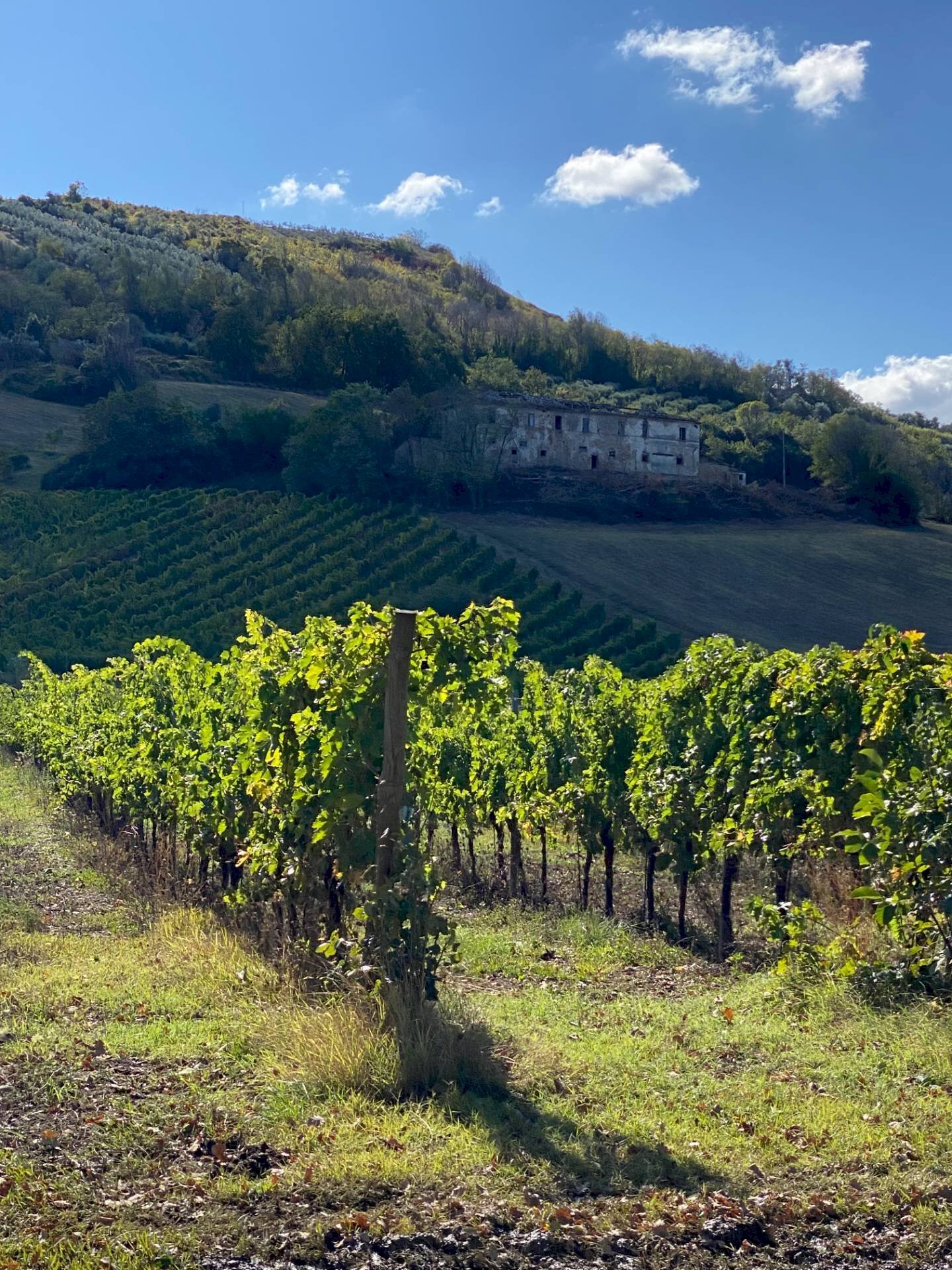 Foto 1 - Casa indipendente via piane tronto, Controguerra - foto 1