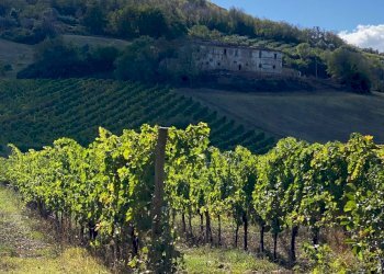 Foto 1 - Casa indipendente via piane tronto, Controguerra - foto 1