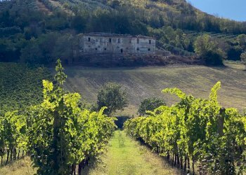 Foto 2 - Casa indipendente via piane tronto, Controguerra - foto 2