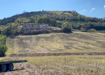 Foto 3 - Casa indipendente via piane tronto, Controguerra - foto 3