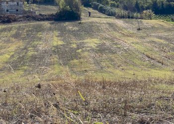 Foto 4 - Casa indipendente via piane tronto, Controguerra - foto 4