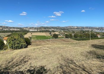 Foto 5 - Casa indipendente via piane tronto, Controguerra - foto 5