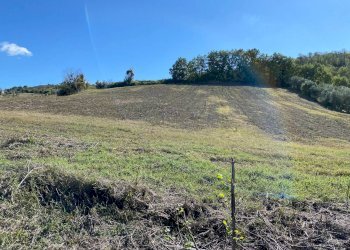 Foto 7 - Casa indipendente via piane tronto, Controguerra - foto 7