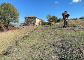 Foto 8 - Casa indipendente via piane tronto, Controguerra - foto 8