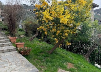 Giardino - Villa Via n.s. della Guardia, Leivi - foto 11