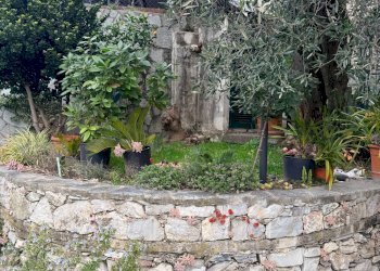 Giardino - Villa Via n.s. della Guardia, Leivi - foto 13