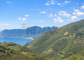 Vista delle montagne - Trilocale Località Drignana
 
snc, Vernazza - foto 16