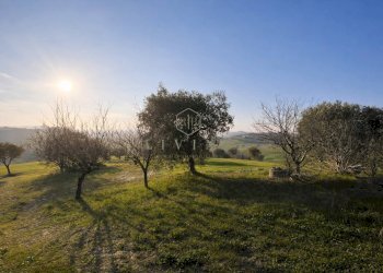 Foto 4 - Rustico Monsampolo del Tronto - foto 4